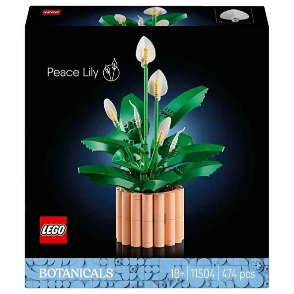LEGO Botanicals Barış Çiçeği 11504 - Resim 5