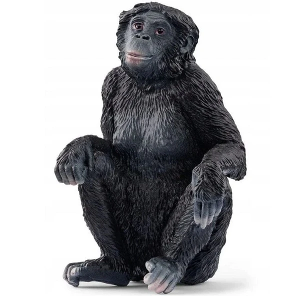 Schleich Bonobo ürün görseli 1
