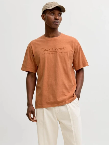 JPRBLUAIDEN SS TEE  Erkek T-Shirt 12293014 ürün görseli 1