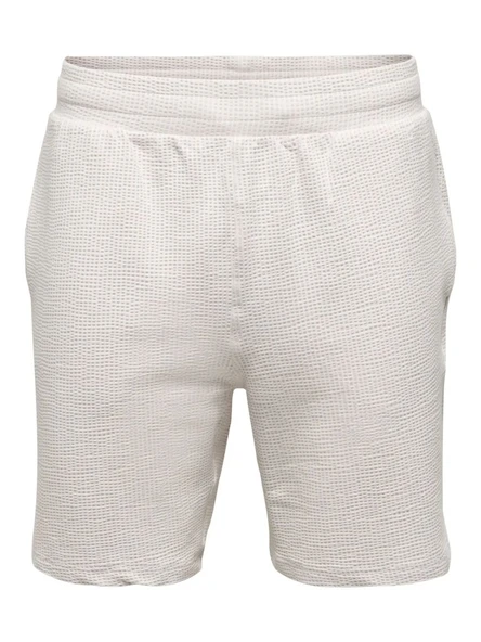 ONSKIAN LIFE REG SEERS. STRP SHORTS VD  Erkek Şort 22036544 ürün görseli 1