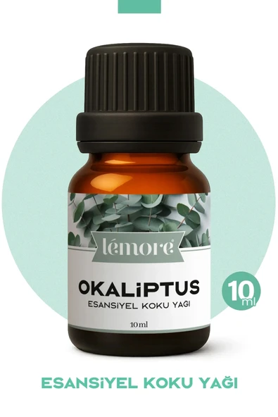 Okaliptus Uçucu Koku Yağı Buhurdanlık Yağı Difüzör Esansı Küre 10ml ürün görseli 1