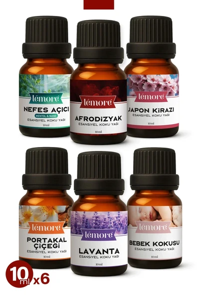 6'lı Set 1 Esansiyel Uçucu Yağ Buhurdanlık Yağı Hava Nemlendirici Aroma Difüzörü Kokusu Esans 10ml Set1 ürün görseli 1