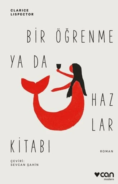 Bir Öğrenme ya da Hazlar Kitabı ürün görseli 1