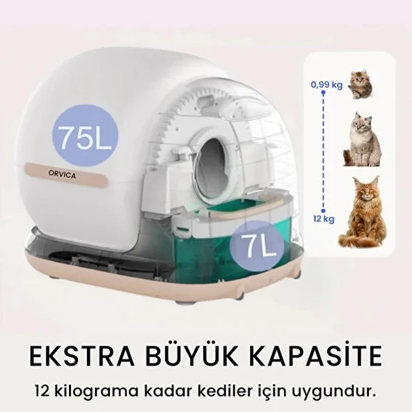 Hd Kameralı Akıllı Tuvaleti - Resim 5