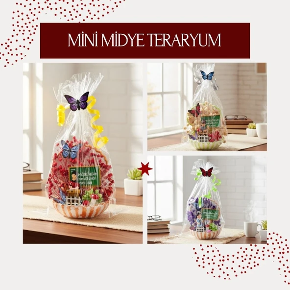 Mini Midye Teraryum - Öğretmenler Günü Hediyesi ürün görseli 1