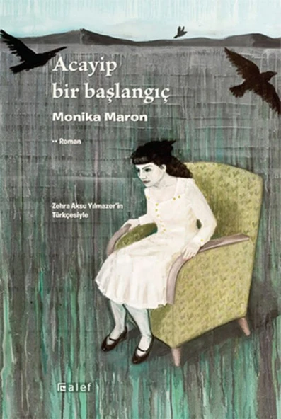 Acayip Bir Başlangıç ürün görseli 1