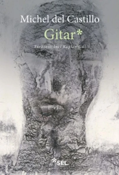 Gitar ürün görseli 1