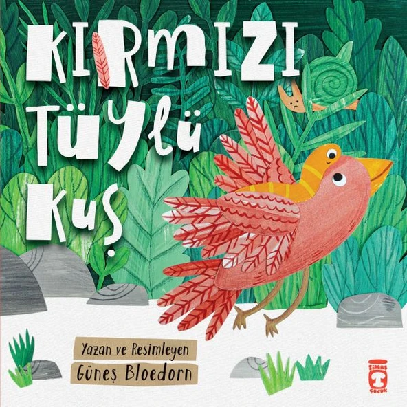 Kırmızı Tüylü Kuş ürün görseli 1