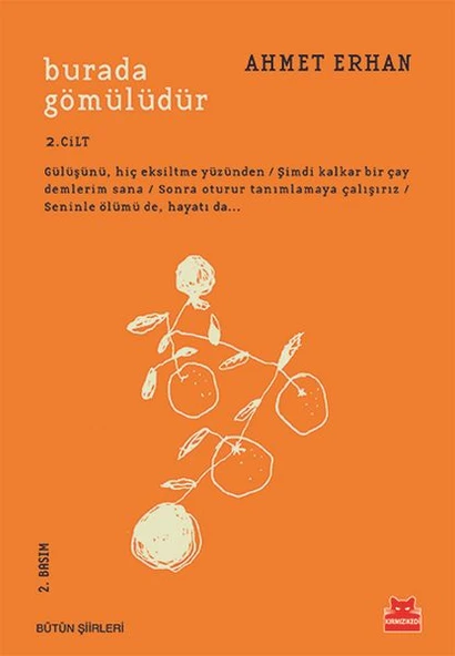 Burada Gömülüdür 2. Cilt ürün görseli 1