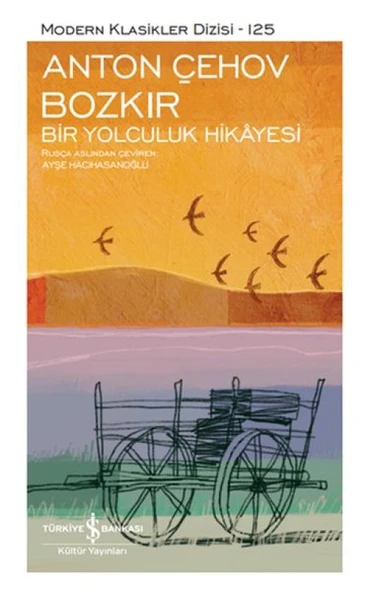 Bozkır Bir Yolculuk Hikayesi - Modern Klasikler Dizisi (Şömizli) ürün görseli 1