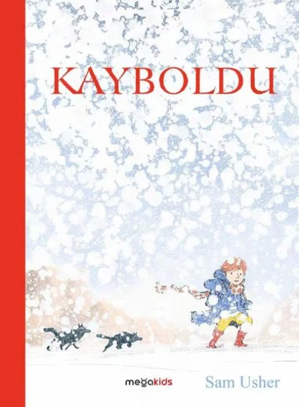 Kayboldu ürün görseli 1