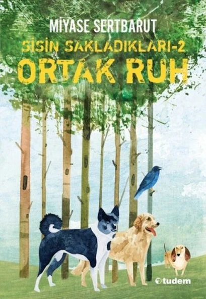 Sisin Sakladıkları 2 - Ortak Ruh ürün görseli 1