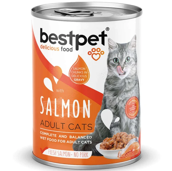 Bestpet Gravy Parça Somonlu Kedi Konservesi 400 Gr x 24 ADET ürün görseli 1