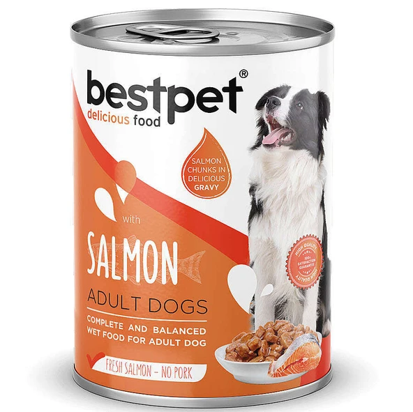 Bestpet Somonlu Parça Etli ve Soslu Köpek Konservesi 400 Gr x 24 ADET ürün görseli 1