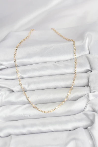CM 14K Gold Renk Kalp Zincirli Kadın Kolye ürün görseli 1