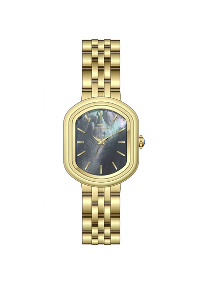 Ferro FL88743A-B2 Quartz Çelik Sarı Siyah Kadran 22 mm Kadın Kol Saati ürün görseli 1