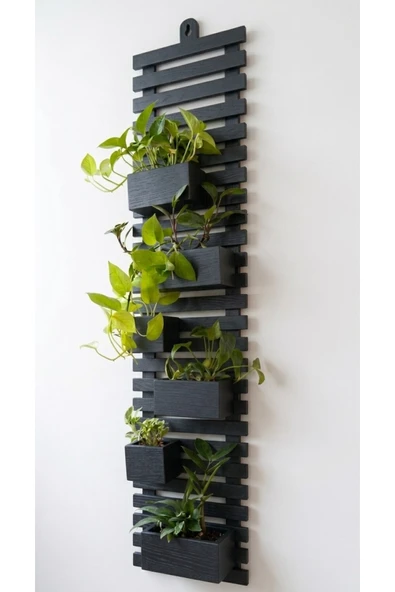 Ev dekka Ahşap Dikey Bahçe Duvar Saksılığı 80x25 cm- Modern Antrasit Siyah & Doğal Renk Dekoratif Çiçeklik ürün görseli 1