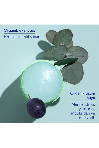 Caudalie Vinofresh Doğal Stick Deodorant 50 gr - Resim 2