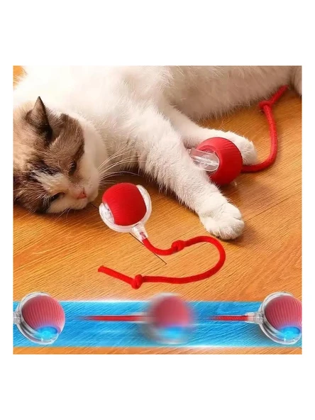 Busstier Akıllı Kedi Oyuncağı, USB Şarjlı, LED Işıklı, 3 Modlu, Otomatik Yuvarlanan Top ürün görseli 1