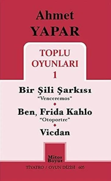 Toplu Oyuları 1 / Ahmet Yapar ürün görseli 1