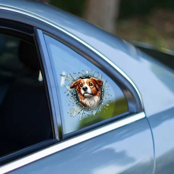 Fulcar Australian Shepherd Araç Stickerı - Resim 2