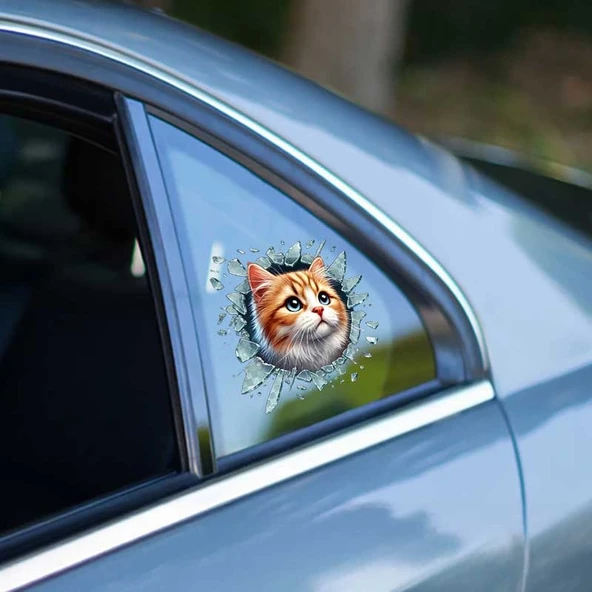Fulcar Sarman Araç Stickerı ürün görseli 1