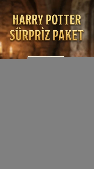 Harry Potter Temalı Sürpriz Figür Koleksiyonu Oyuncak Seti ürün görseli 1