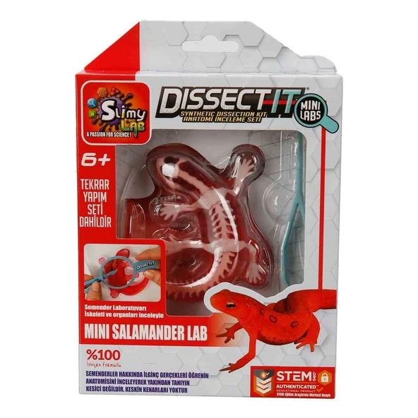 Dissect it Mini Labaratuvar - Resim 2