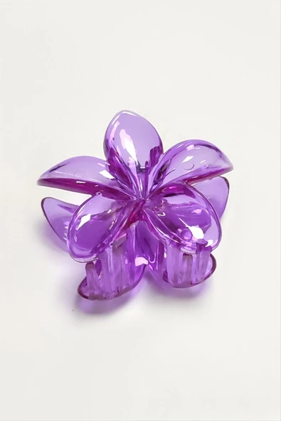 Lotus Toka 8 cm - Resim 2