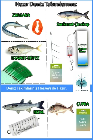 Tam Takım Göl Ve Deniz Olta Seti - Resim 5