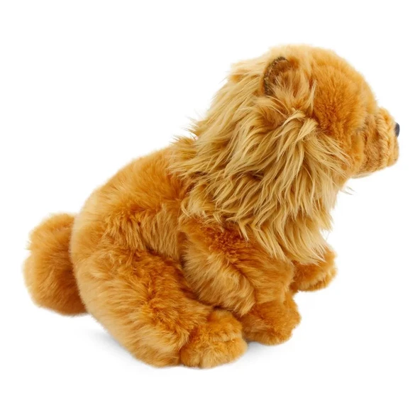 Chow Chow Peluş  (Çin Aslanı) 28 cm - Resim 3