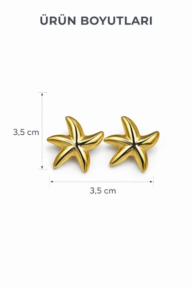 Gold Star Çivi Küpe - Resim 4