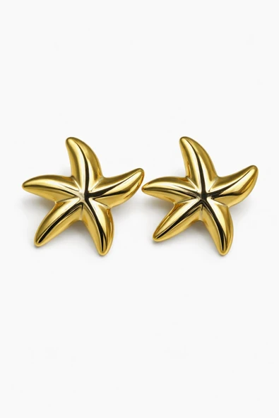Gold Star Çivi Küpe - Resim 2