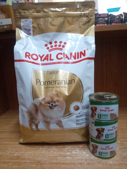ROYAL CANİN Pomeranian Adult Yetişkin Köpek Kuru Maması 3 KG+3 ADET 195 GR ROYAL CANİN S MİNİ KÖPEK KONSERVE YAŞ MAMA ürün görseli 1