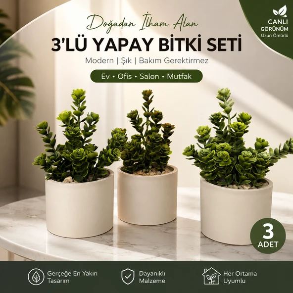 3'lü Yapay Para ve Bereket Ağacı Seti - Resim 3