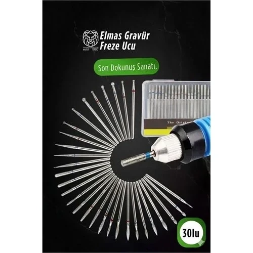30'Lu Elmas Gravür Freze Ucu Seti | Dre Mel Uyumlu Metal Cam Ahşap İşleme 722925 ürün görseli 1