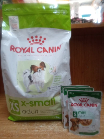 ROYAL CANİN Xsmall Adult Yetişkin Köpek Maması 3 KG+3 ADET ROYAL CANİN S MİNİ KÖPEK YAŞ MAMA ürün görseli 1
