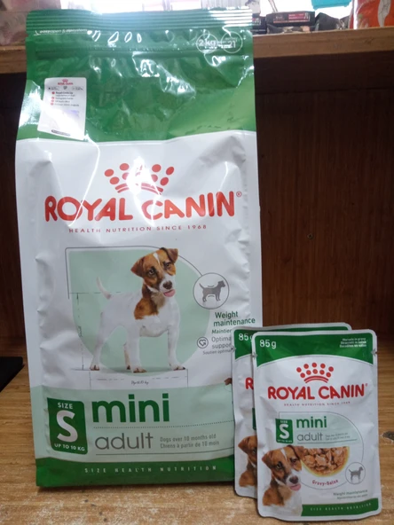 ROYAL CANİN Mini Adult Yetişkin Köpek Kuru Maması 1.5 KG+2 ADET ROYAL CANİN S MİNİ KÖPEK YAŞ MAMA 85 GR ürün görseli 1