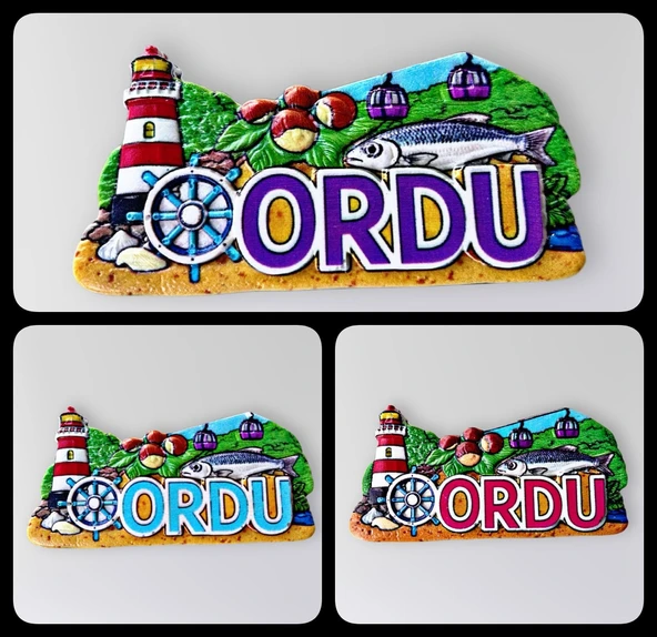 Ordu 3 lü Polyester Kabartmalı Magnet Set Dekoratif Hediyelik Buzdolabı Süsü (Kod:1367) ürün görseli 1