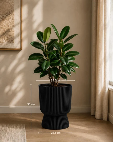 SO-LTSA03 Lotus Ayaklı Plastik Vazo Çiçek Saksı 10,5 Lt No: 3 Siyah 6 Adet - Resim 3