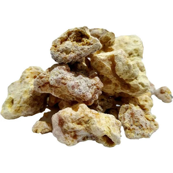 Çam Sakızı Doğal 100 Gr Paket ürün görseli 1
