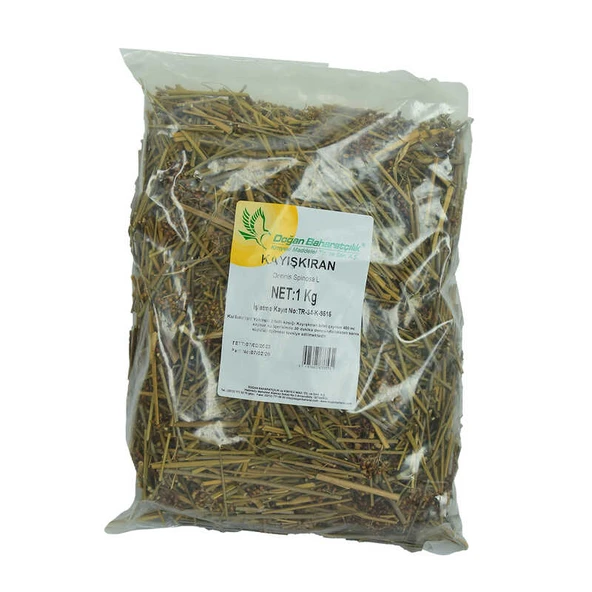 Kayışkıran Otu Doğal 1000 Gr Paket ürün görseli 1