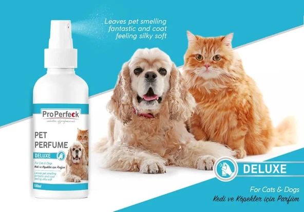 Perfeck Lüks Parfüm 100 Ml ürün görseli 1
