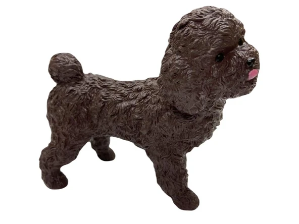 Köpekler - Poodle Cinsi - 1 Adet ürün görseli 1