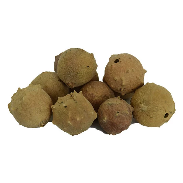 Mazı Meyve Kozalağı Doğal 100 Gr Paket ürün görseli 1