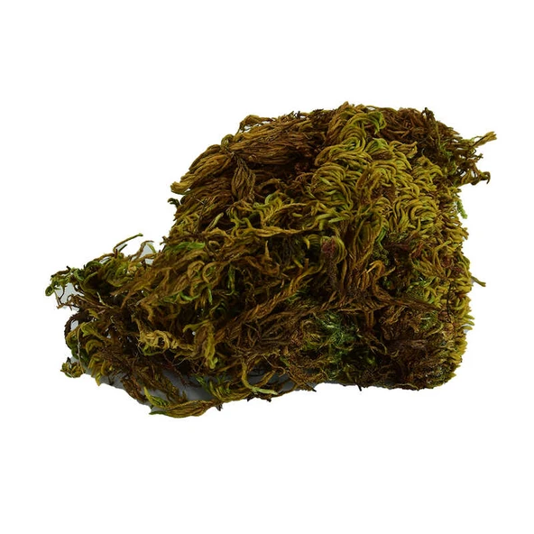 Yosun Su Yosunu Doğal 100 Gr Paket ürün görseli 1