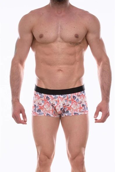 Erkek Desenli Boxer ürün görseli 1