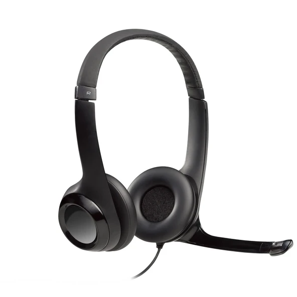 LOGITECH H390 HEAD A-00146  981-000406 ürün görseli 1