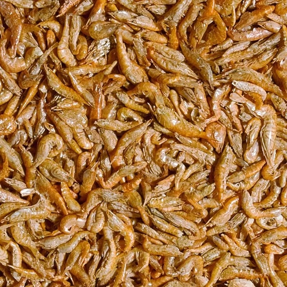 500 Gram Tropical River Shrimps Kurutulmuş Nehir Karidesi ürün görseli 1