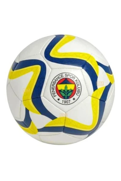 Futbol Topu We No:5 *30 ürün görseli 1